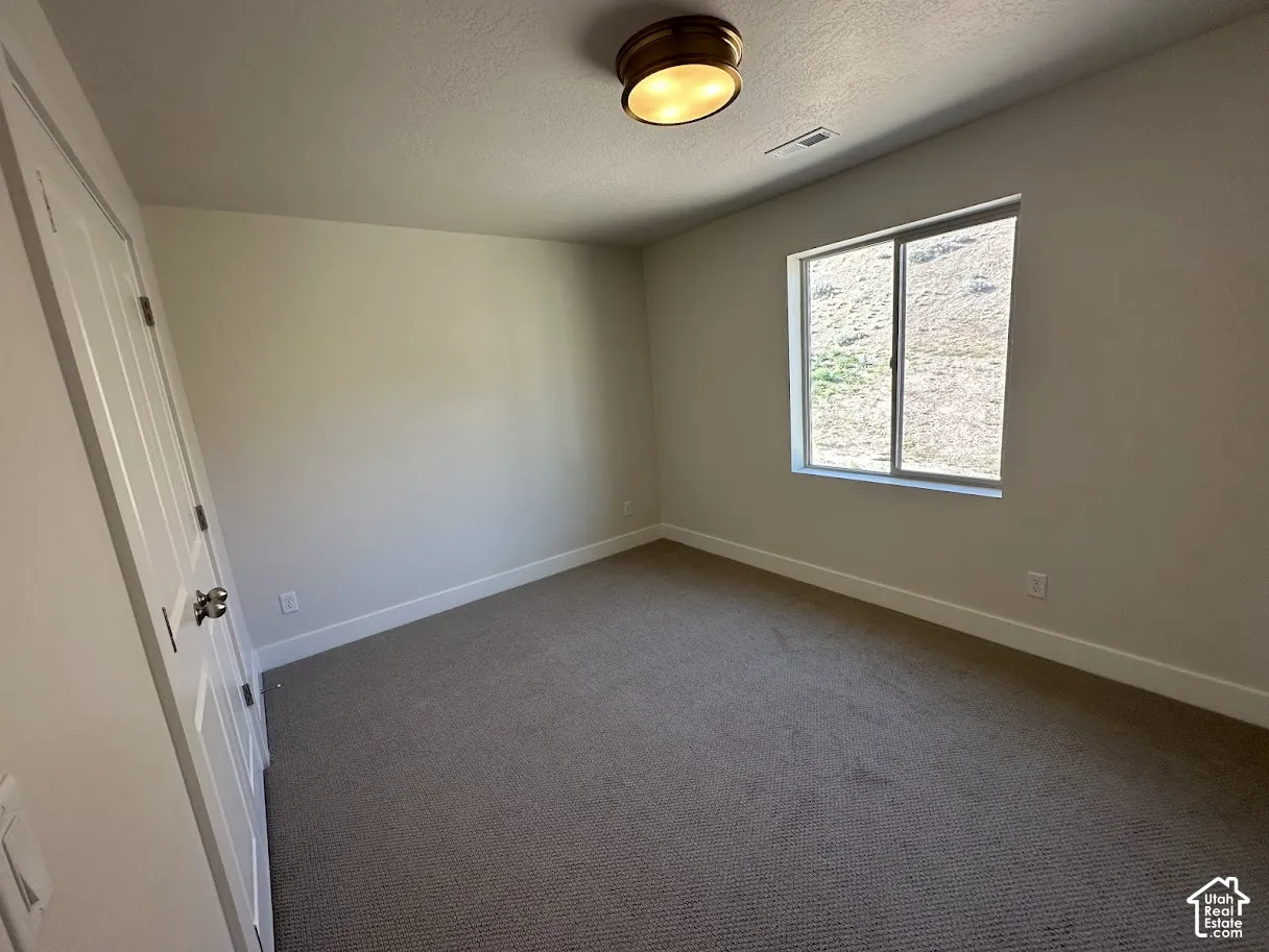 Room featuring broadloom carpeting, a window with a mountain backdrop, a panel door, and a flush mount ceiling light. Picture taken from comparable unit.