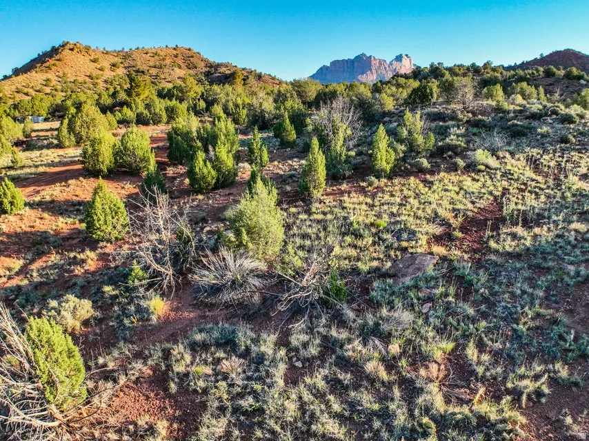 Expansive desert landscape featuring varied terrain, natural vegetation, and distant mountain formations