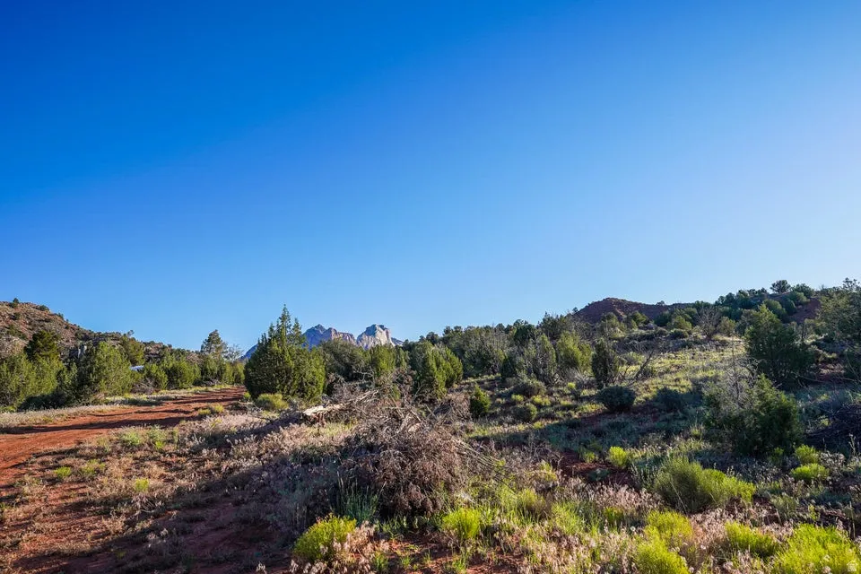 Rolling terrain with diverse native vegetation and distant mountain peaks