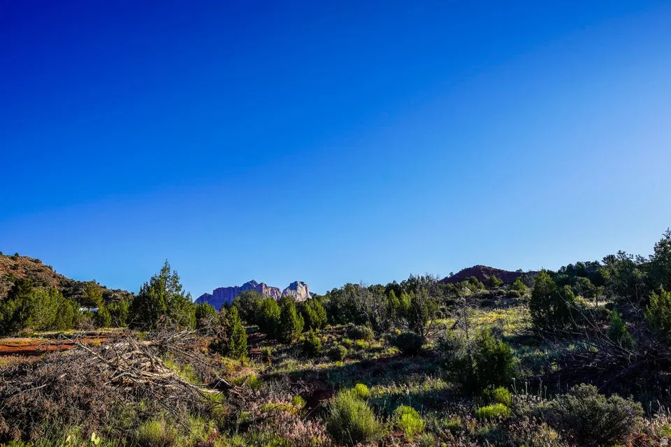 Expansive landscape featuring native vegetation and distant rock formations