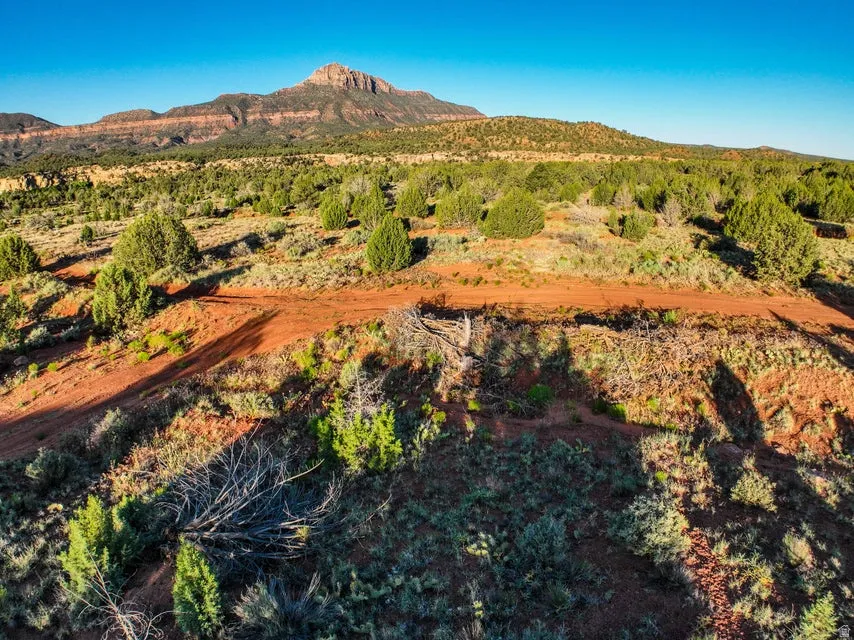 Expansive open land featuring diverse desert flora and a prominent mountain backdrop