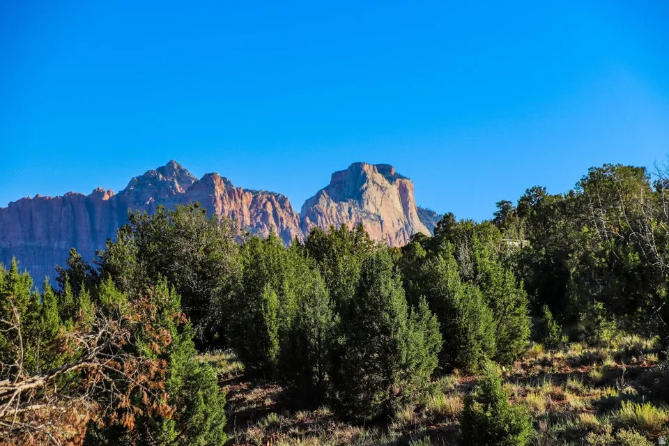 Expansive mountain scenery featuring rugged peaks, verdant tree lines, and a clear sky
