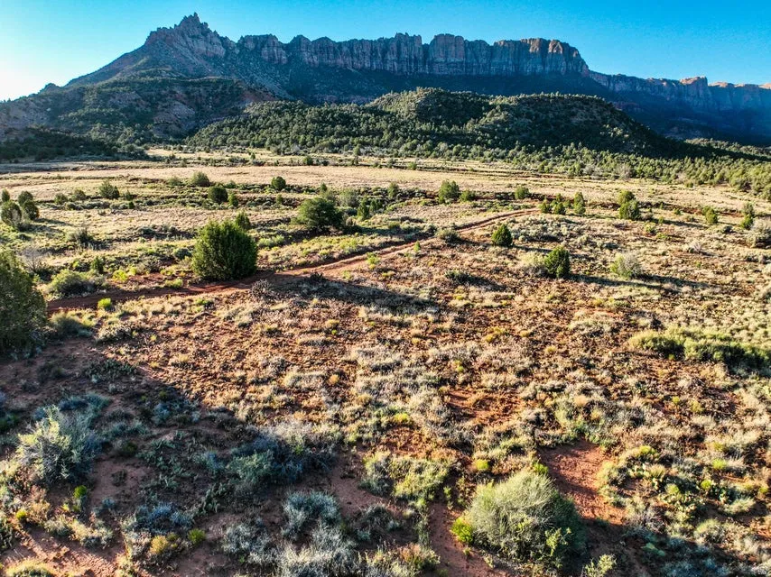 Expansive desert landscape featuring natural foliage and a prominent mountainous backdrop