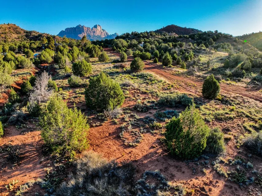 Expansive desert terrain featuring red soil, scattered green foliage, and distant mountain formations