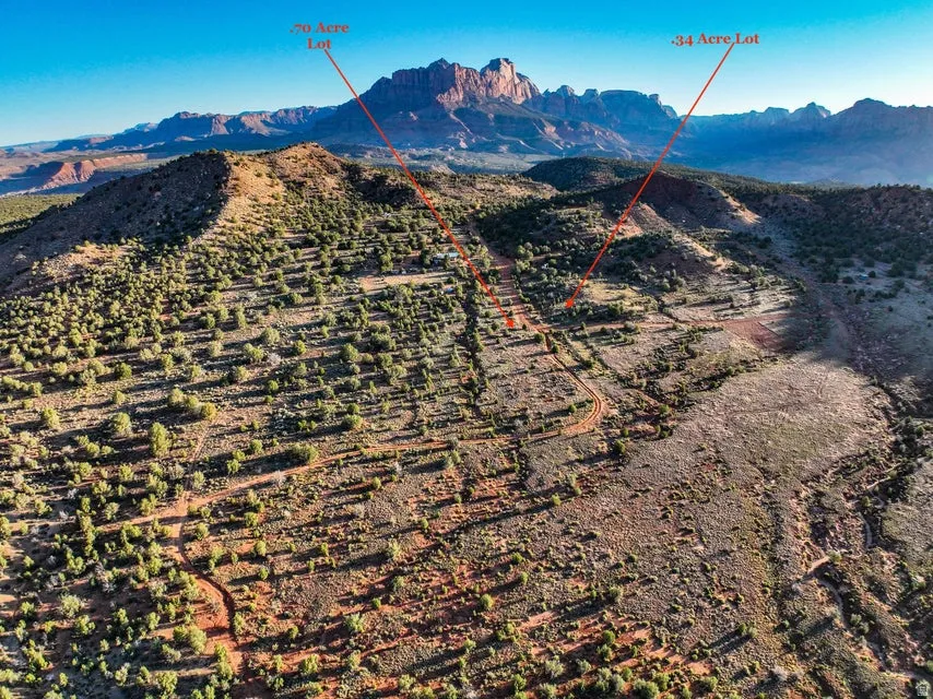 Expansive undeveloped land featuring natural desert vegetation, rolling terrain, and distant mountain backdrops