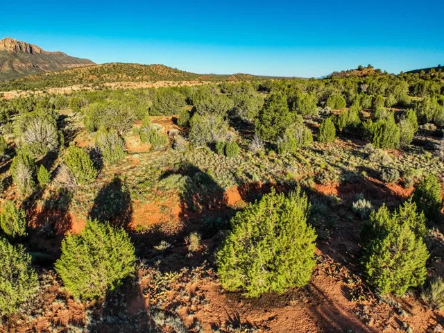 Expansive natural landscape featuring varied terrain, abundant evergreen shrubs, red earth, and distant mountain formations