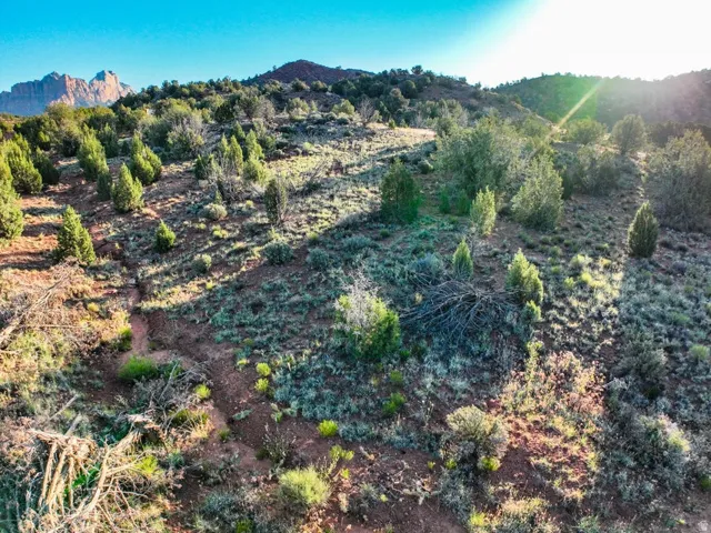 Expansive desert landscape featuring natural rock formations and a variety of native shrubbery