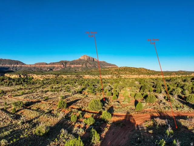 Expansive desert landscape featuring natural foliage and distant mountain formations