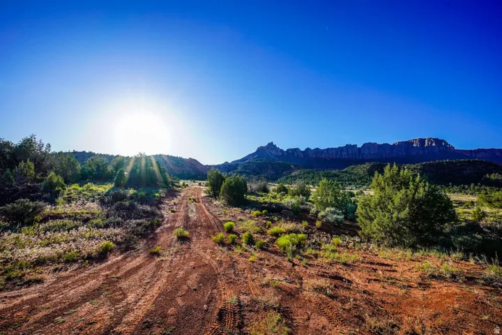 Expansive desert landscape featuring a dirt track and scattered low-lying vegetation