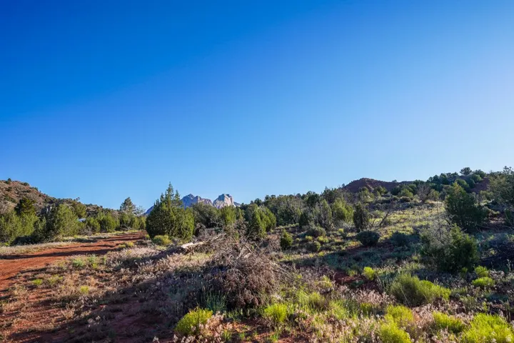 Rolling terrain with diverse native vegetation and distant mountain peaks