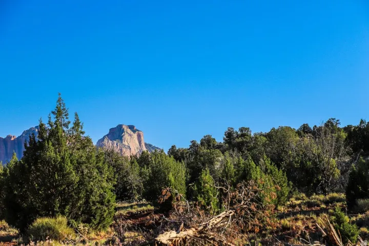 Mountainous terrain with natural vegetation under a clear sky