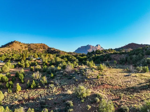 Expansive landscape featuring diverse desert flora and distant mountain formations under a clear sky