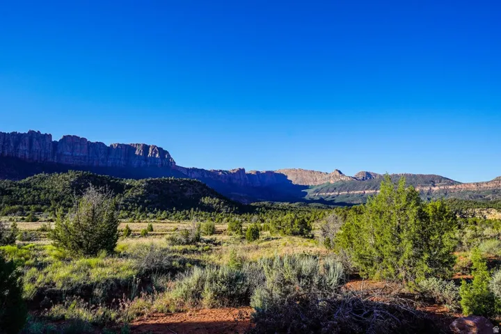 Expansive desert landscape with varied shrubbery and visible mountainous terrain in the distance