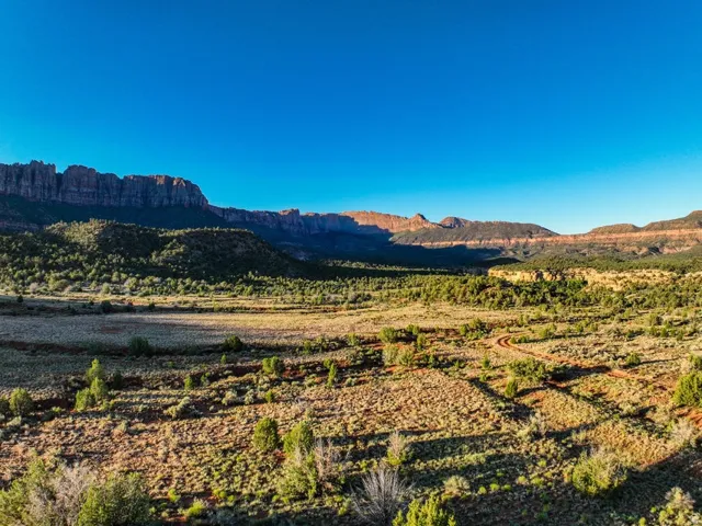 Expansive desert landscape featuring rugged mountain formations, a clear blue sky, varied vegetation, and a winding dirt road