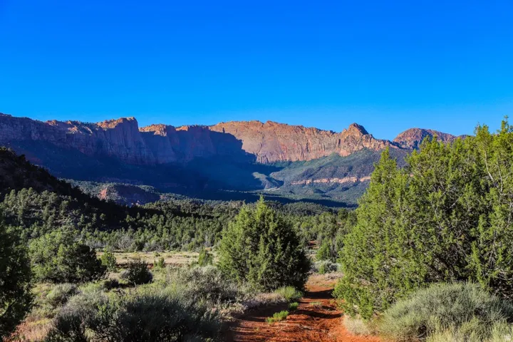 Expansive desert landscape featuring a clear blue sky, distant red rock formations, and a foreground of green scrub brush and trees