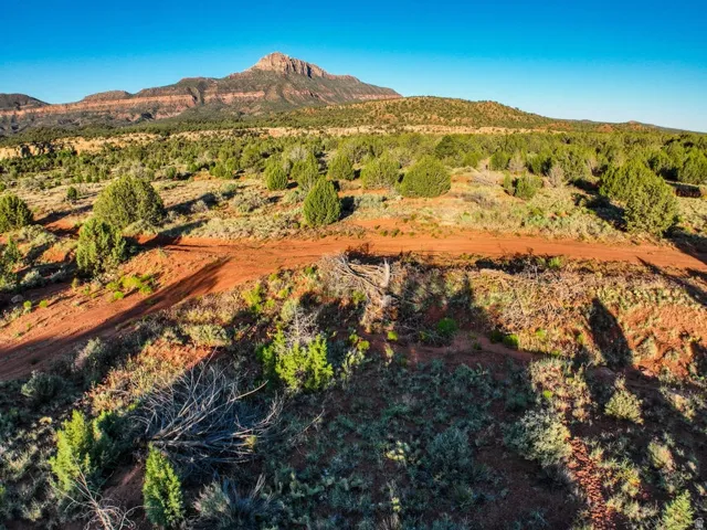 Expansive open land featuring diverse desert flora and a prominent mountain backdrop