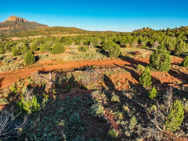 Expansive desert landscape featuring a dirt path, various native shrubs, and distant mountains