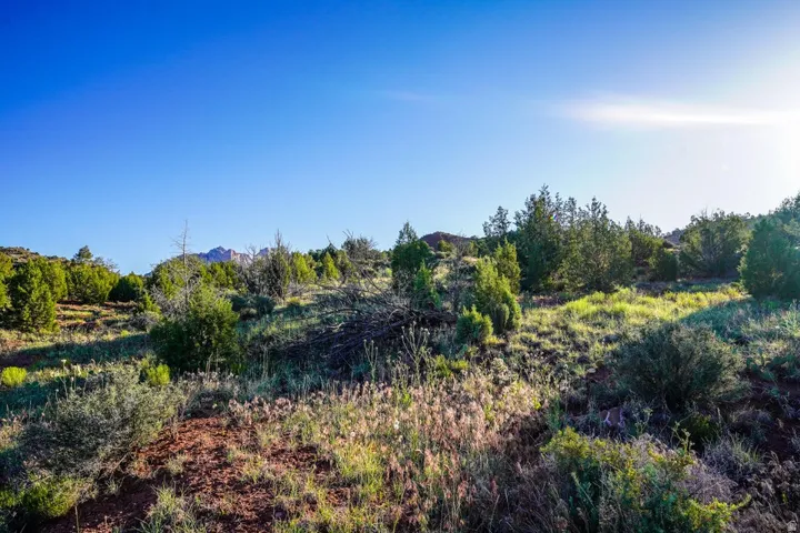 Elevated terrain featuring natural vegetation, scattered junipers, and distant mountain formations