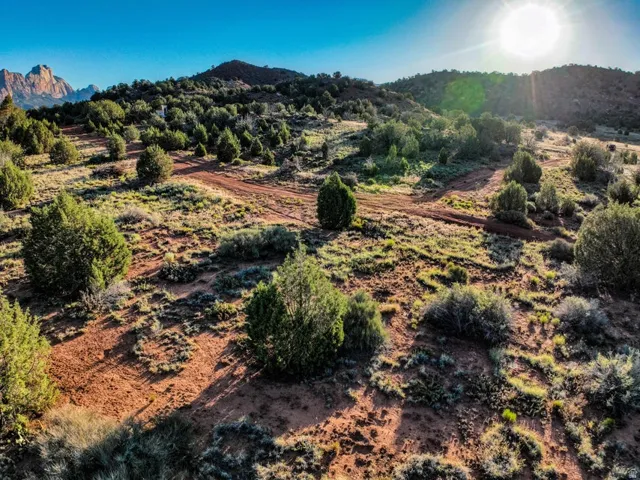 Expansive undeveloped land featuring varied terrain and natural vegetation, including mature trees and native shrubs
