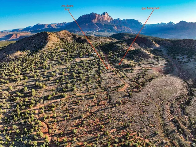 Expansive undeveloped land featuring natural desert vegetation, rolling terrain, and distant mountain backdrops