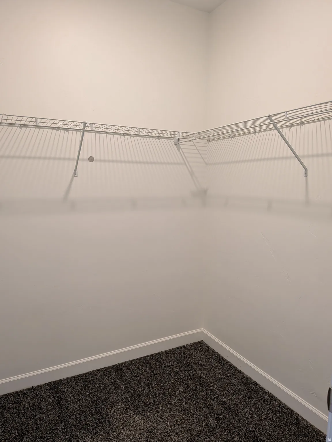 Walk in closet featuring dark carpet