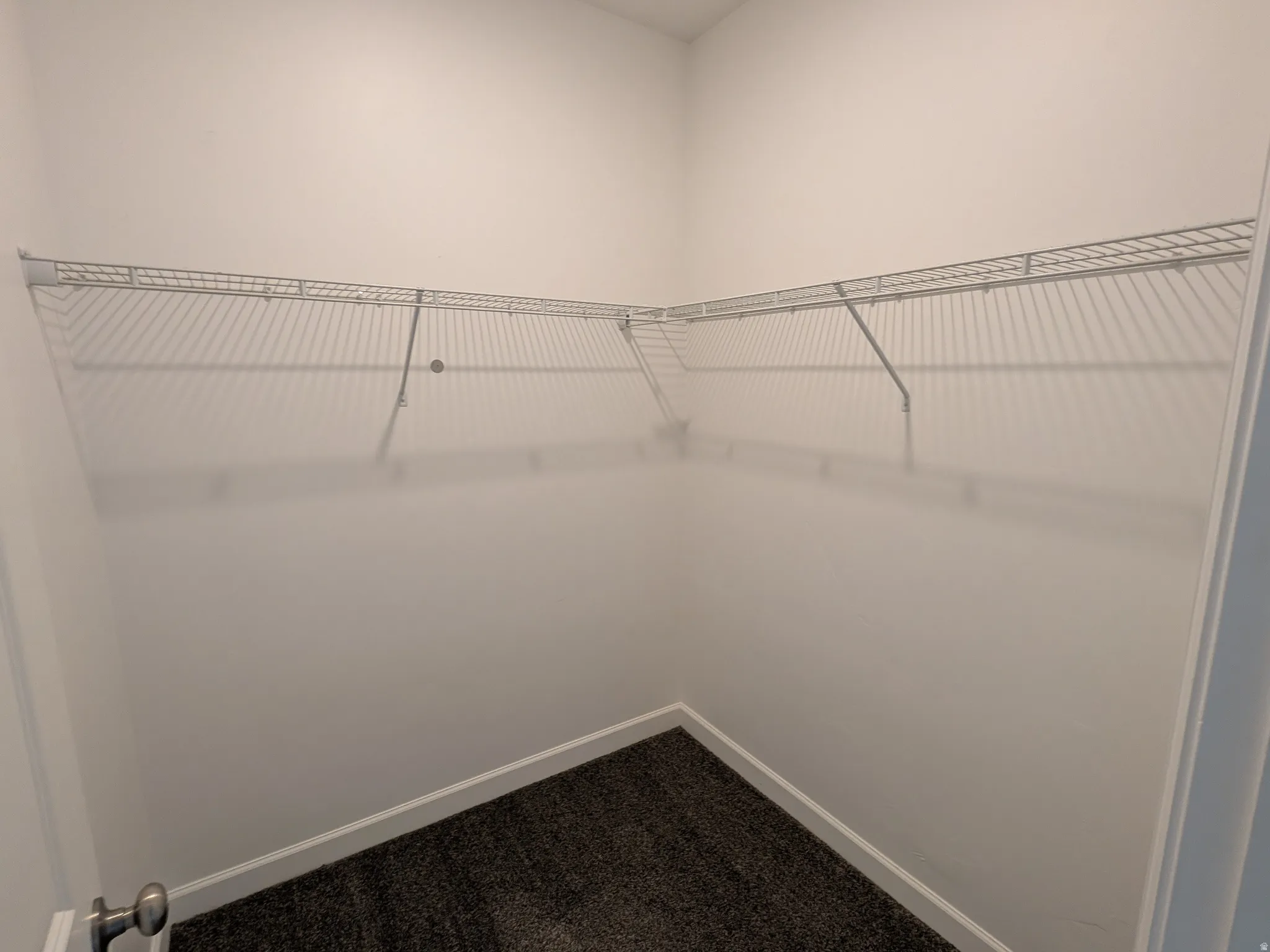 Walk in closet with dark carpet