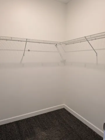 Walk in closet featuring dark carpet