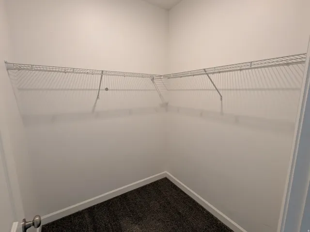 Walk in closet with dark carpet
