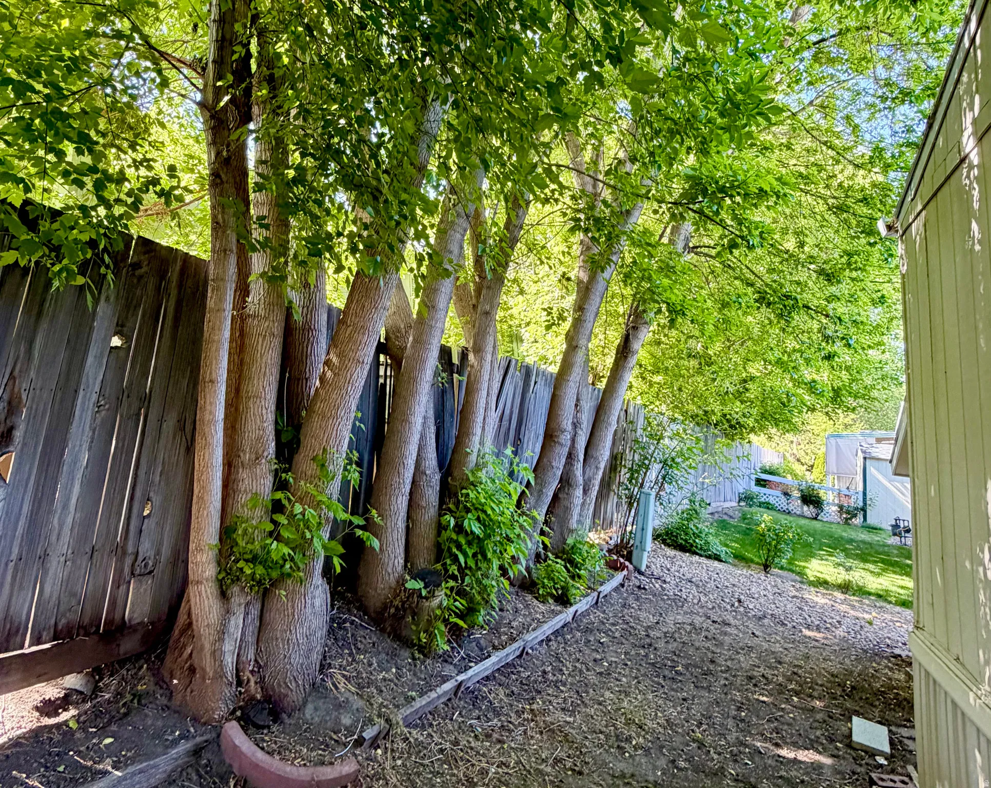 Cozy, private, and shaded backyard