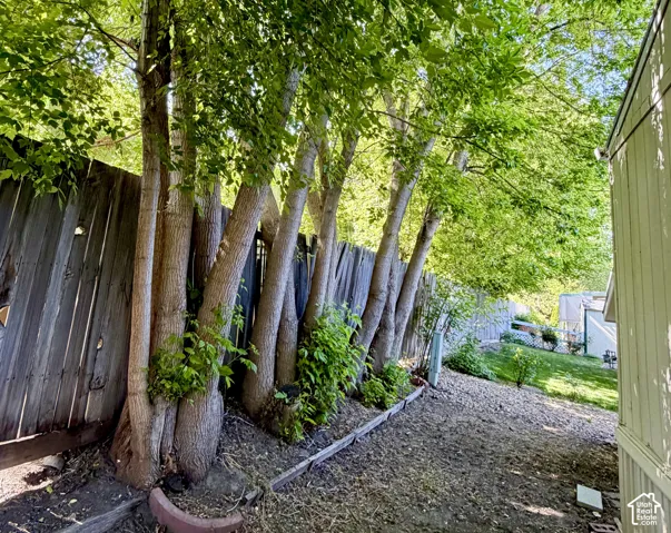 Cozy, private, and shaded backyard
