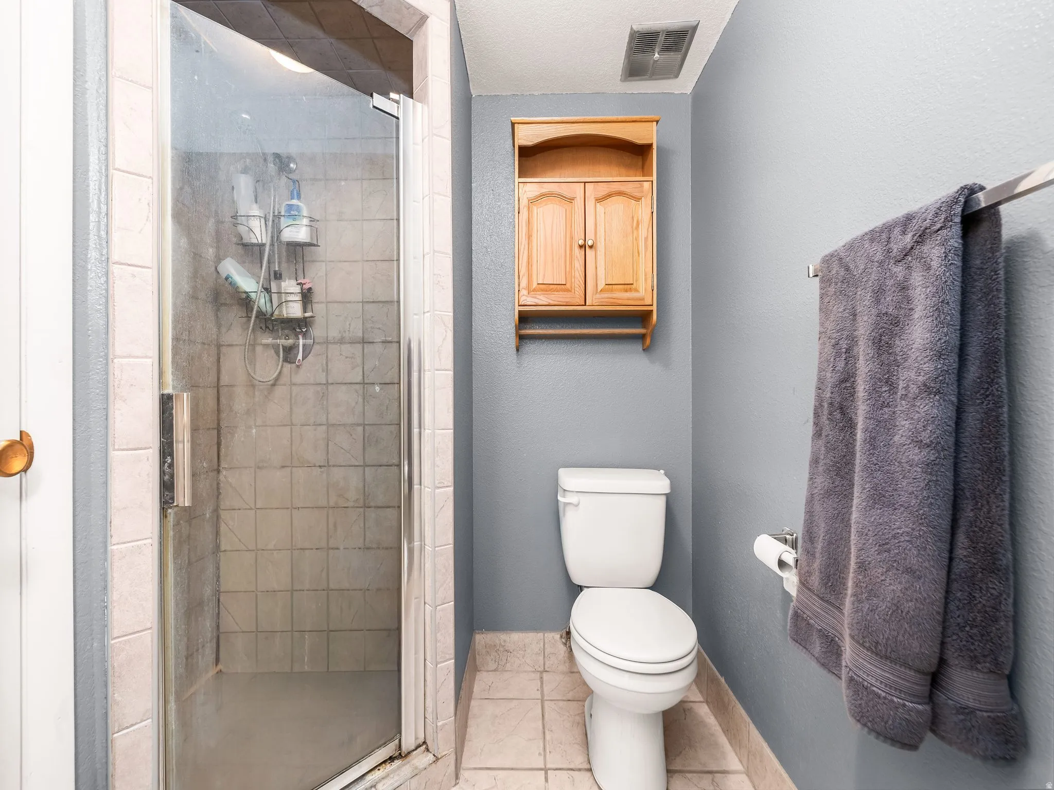 Tiled shower enclosure with a glass door, accompanied by a white toilet and a wall-mounted wood cabinet