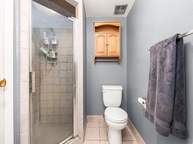 Tiled shower enclosure with a glass door, accompanied by a white toilet and a wall-mounted wood cabinet