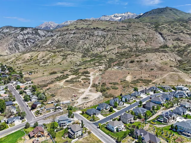 Expansive mountain landscape bordering residential properties with established streets and mature trees
