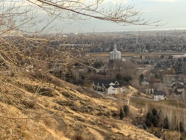 Expansive hillside property with substantial land, offering elevated placement and surrounding residential structures