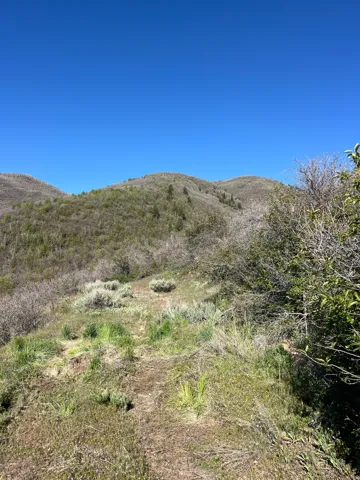 Expansive natural landscape featuring rolling hills, varied foliage, and a clear blue sky