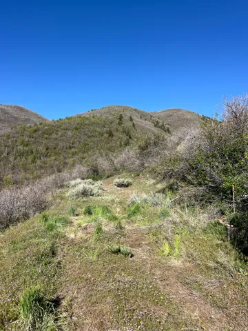 Expansive mountainous terrain featuring varied green foliage
