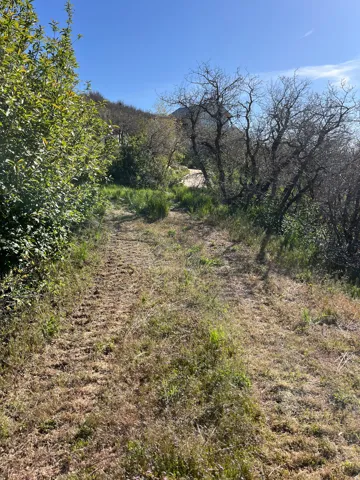Natural land parcel featuring varied vegetation, a clear blue sky, and a distant structure