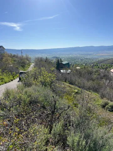 Hillside property featuring natural foliage and a paved road