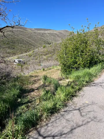 Mountainous terrain with natural vegetation