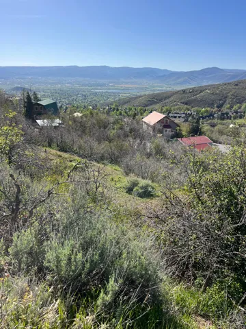Expansive undeveloped lot featuring natural vegetation, gently sloping terrain, and distant mountain scenery