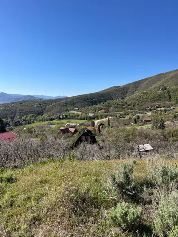 Expansive hillside lot featuring natural shrubbery and mature trees