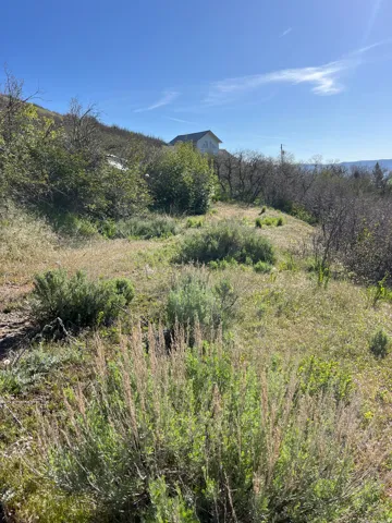 Expansive hillside lot featuring natural shrubbery and varied terrain