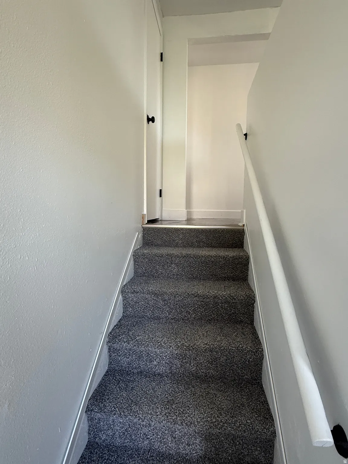 Carpeted staircase with light gray walls, white baseboards, and a white handrail