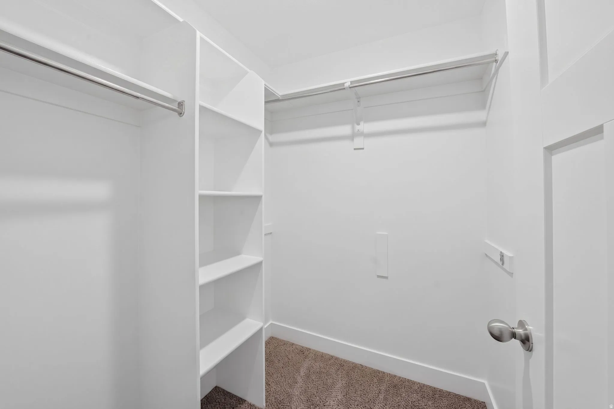Walk-in closet featuring white built-in shelving, multiple clothing rods, and neutral carpet flooring