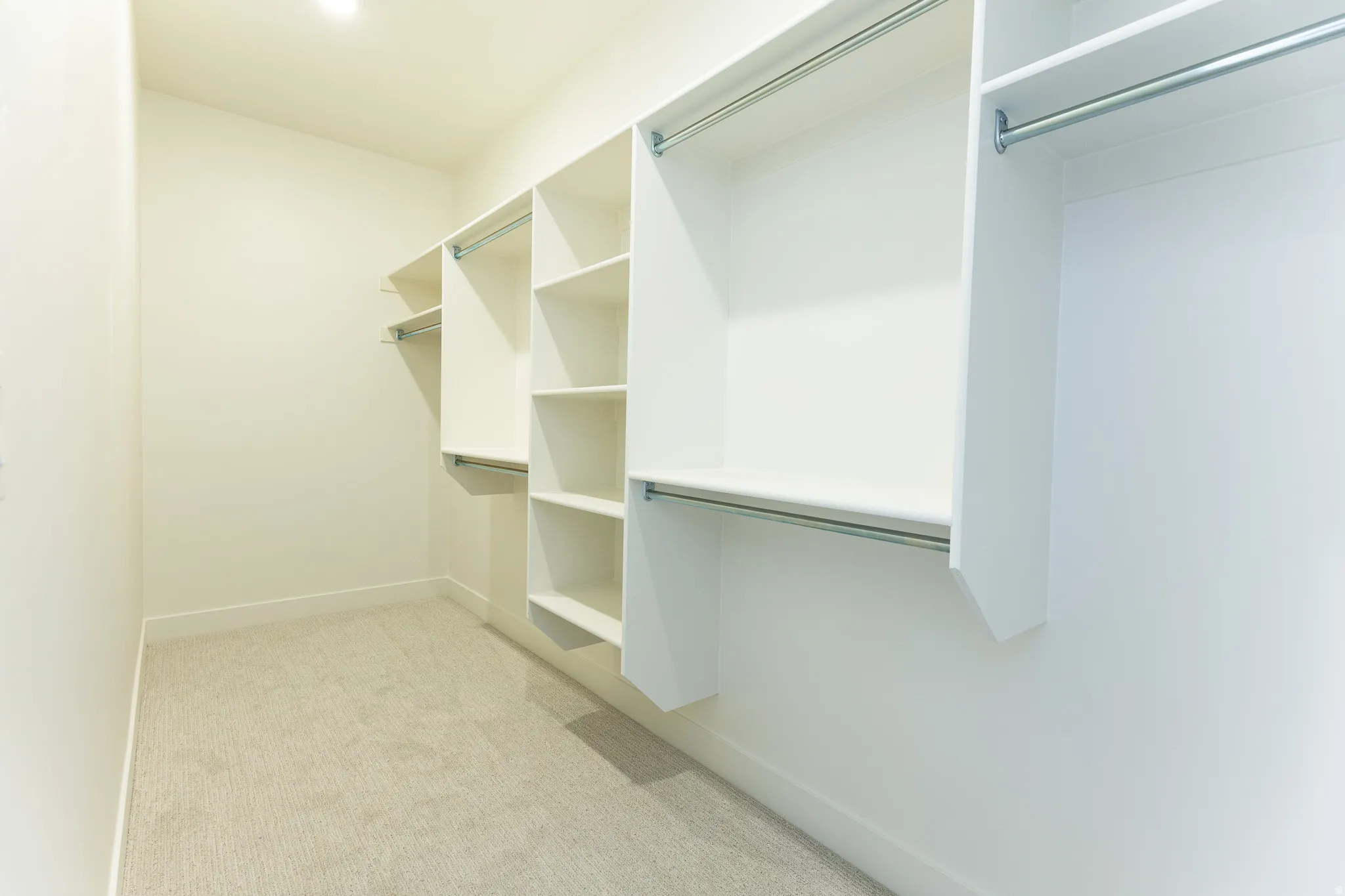 Spacious walk-in closet featuring built-in white shelving, multiple hanging rods, and light-toned carpet flooring