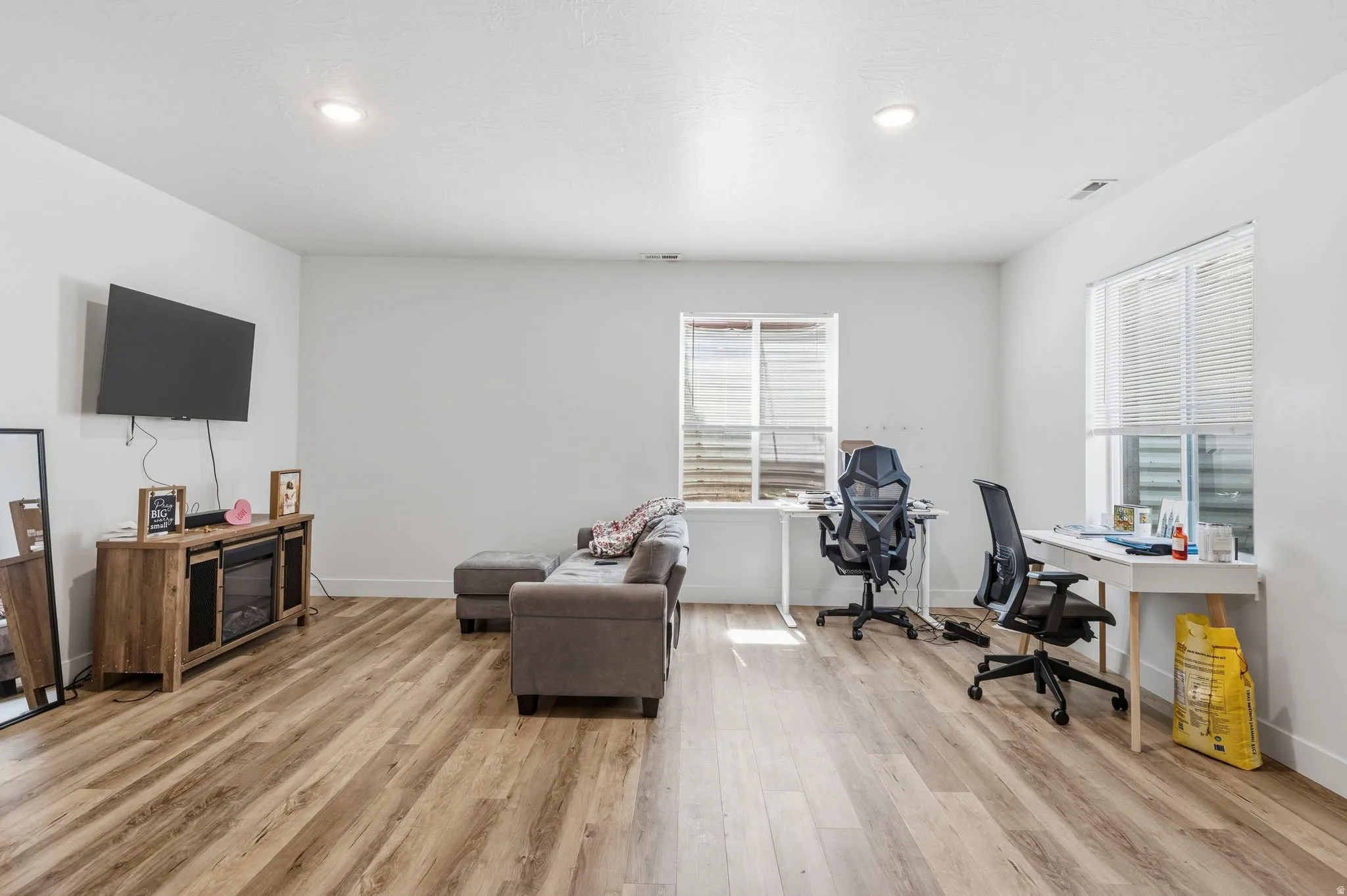 Basement living room