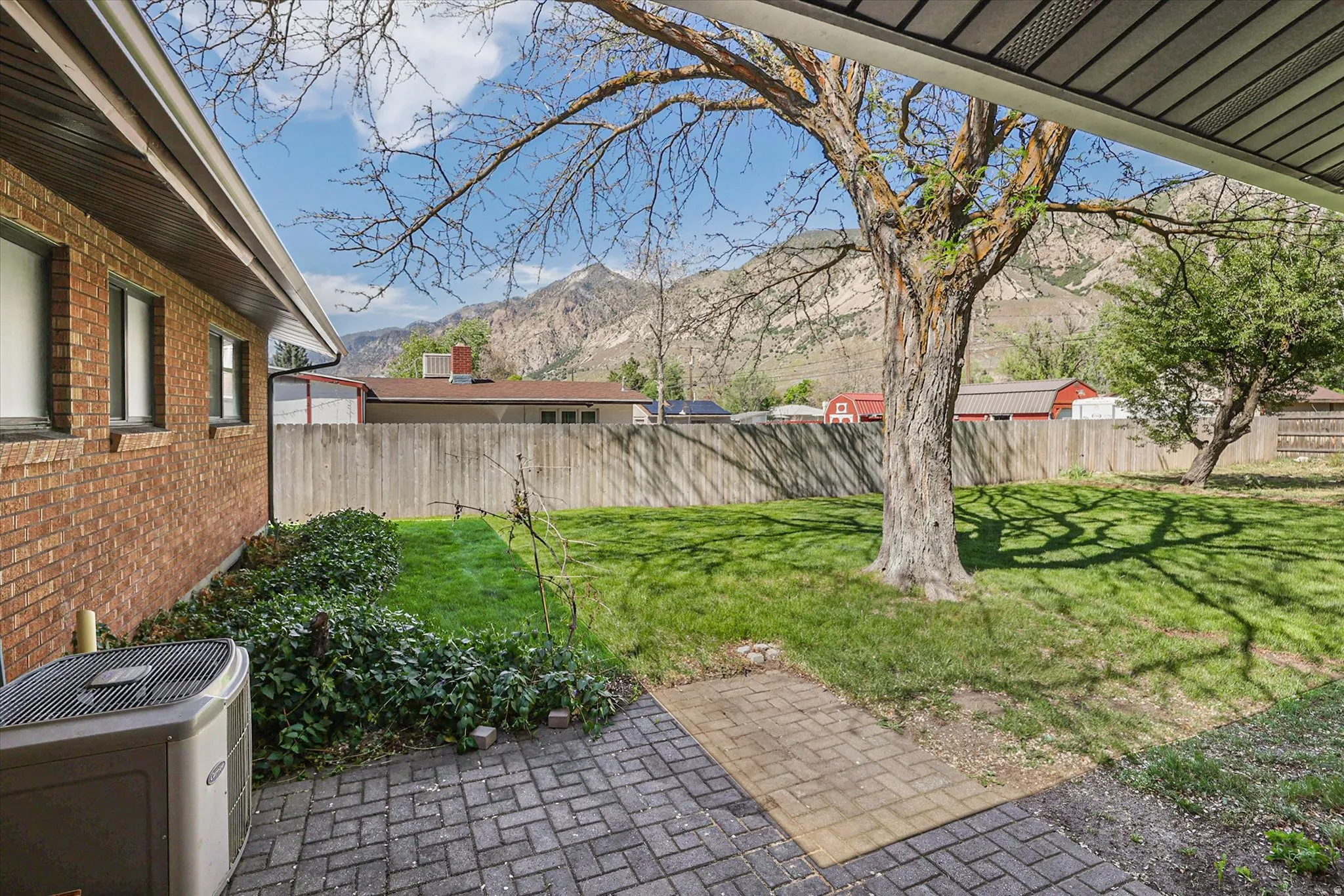 Expansive backyard featuring a large tree providing shade, a manicured lawn, and a wood fence enclosing the property