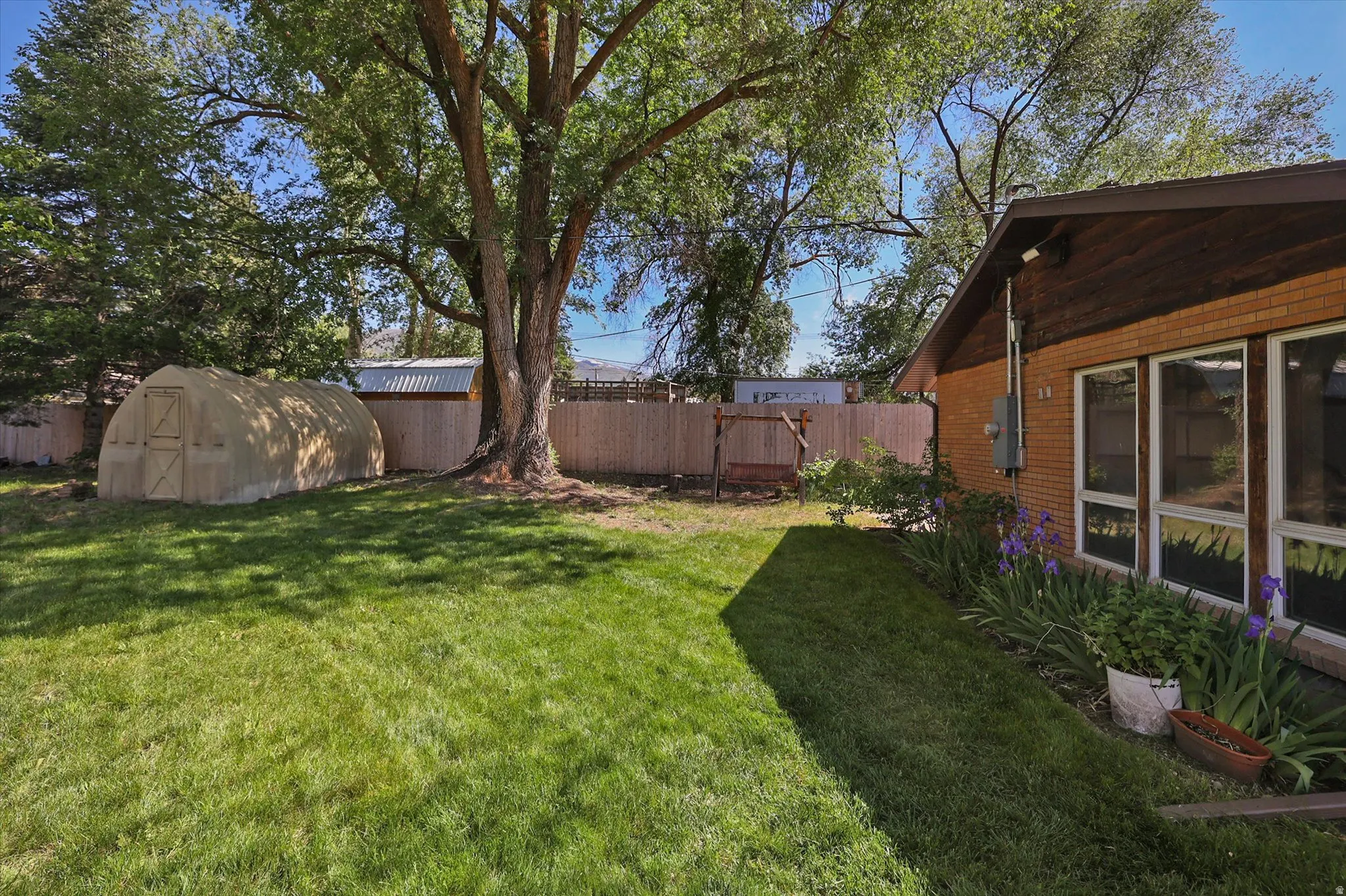 Expansive backyard featuring a manicured lawn, a large mature tree, a privacy fence, and a greenhouse structure