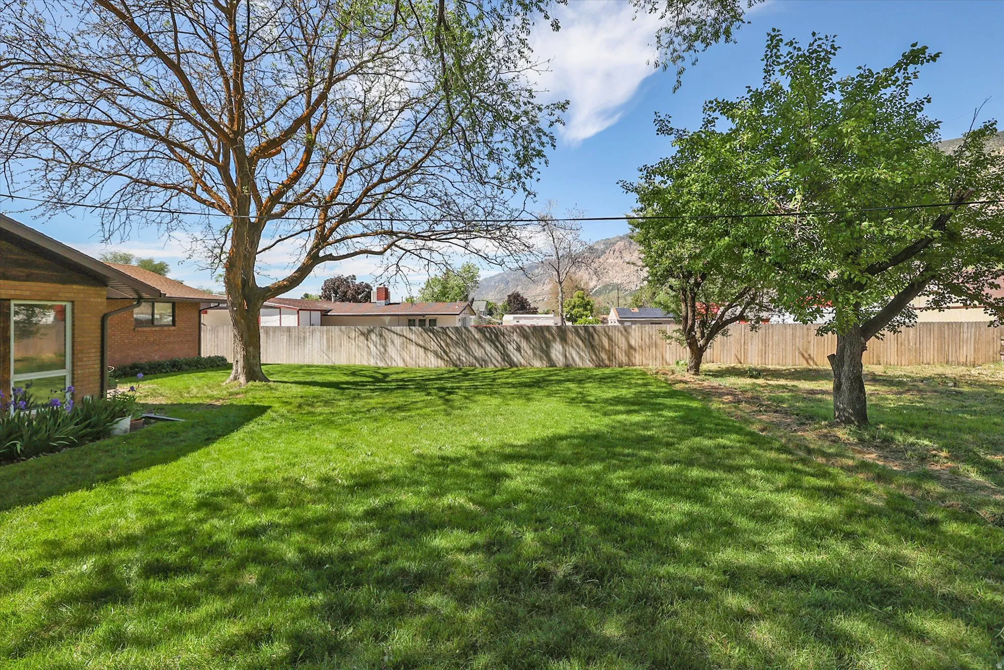 Expansive backyard featuring a lush lawn, mature trees, and a full perimeter fence