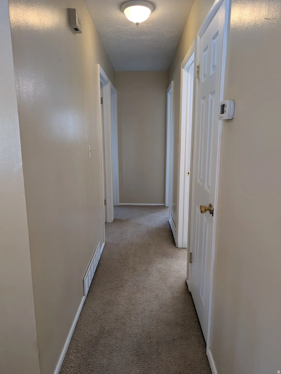 Carpeted hallway featuring light neutral wall paint, white trim, and a flush mount ceiling light fixture